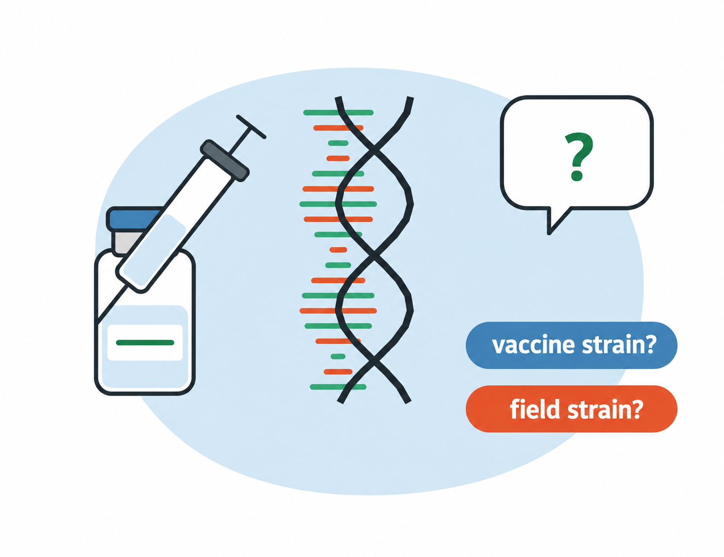 Positive PCR in a vaccinated animal: vaccine or field virus