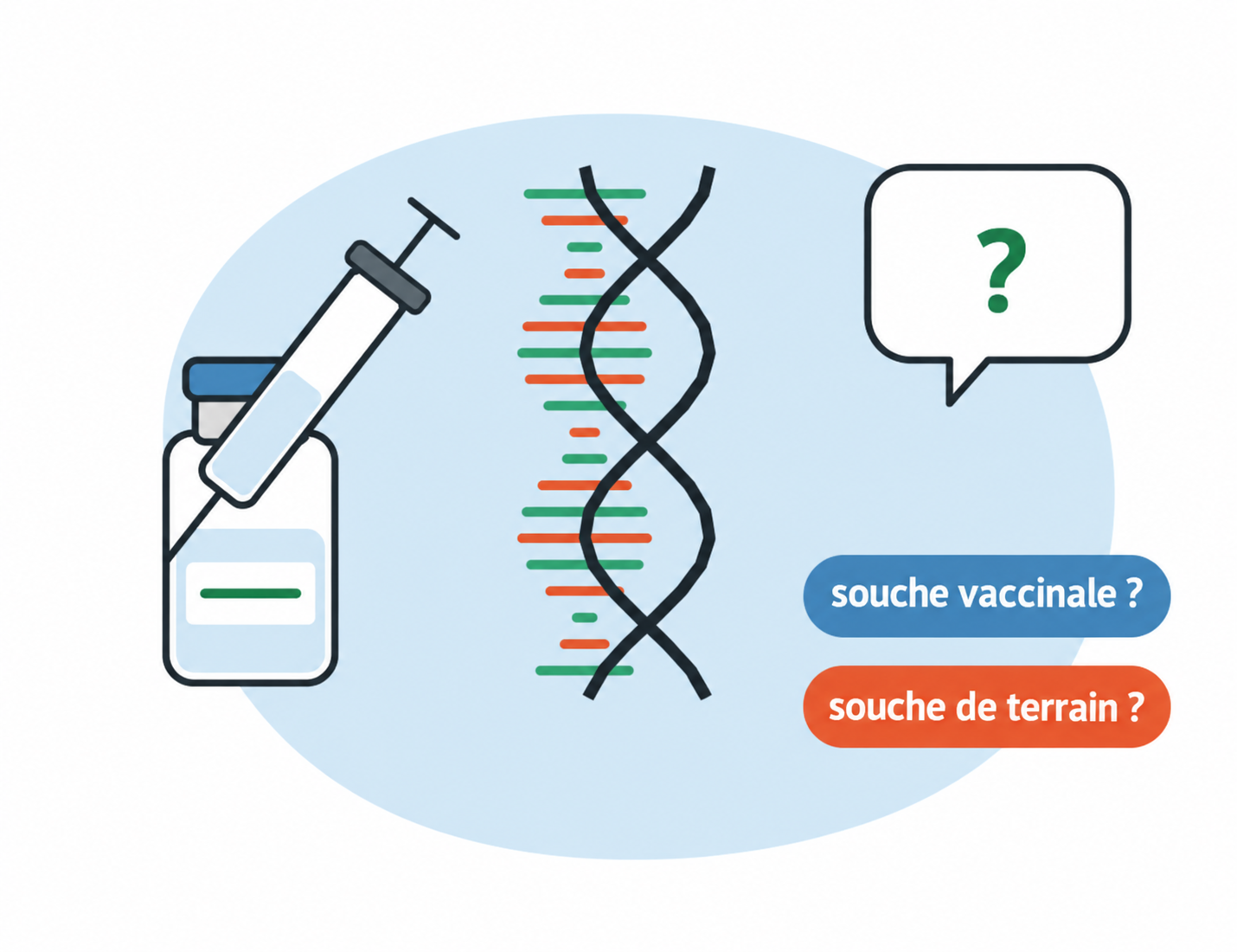 PCR positive chez un animal vacciné : virus vaccinal ou virus de terrain