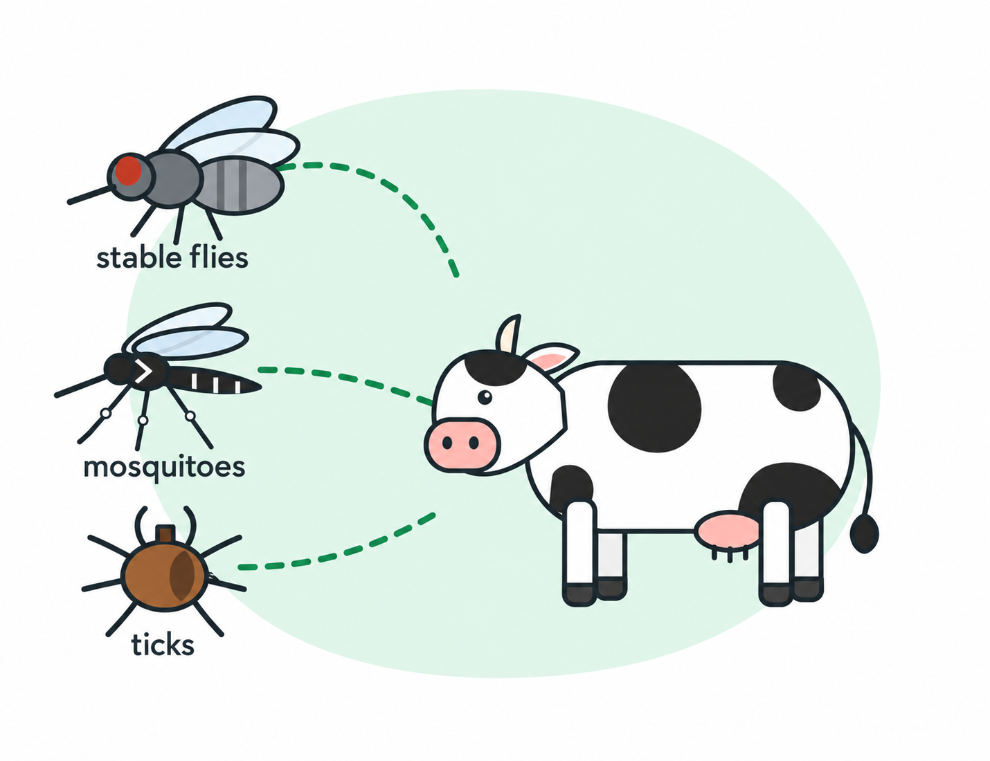 Stable flies, mosquitoes and ticks mechanically transmit the virus