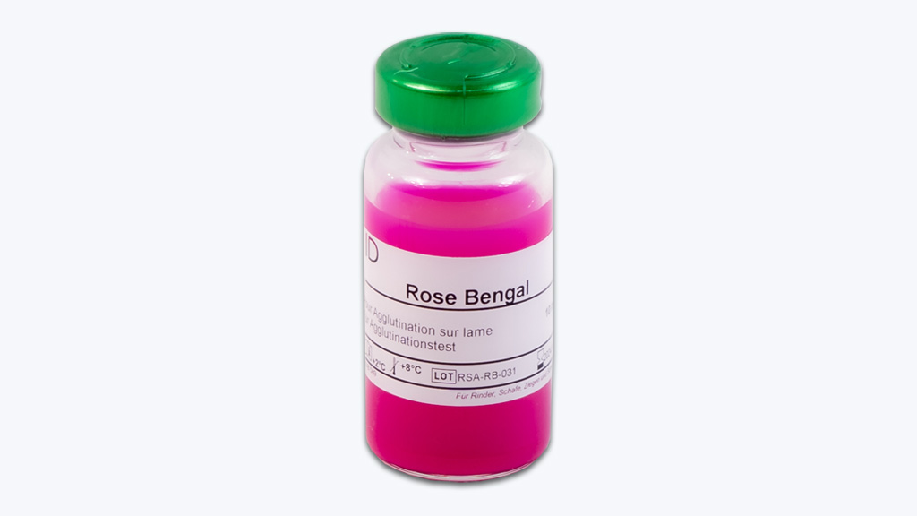 ROSE BENGAL (RAPID SLIDE AGGLUTINATION ANTIGEN)