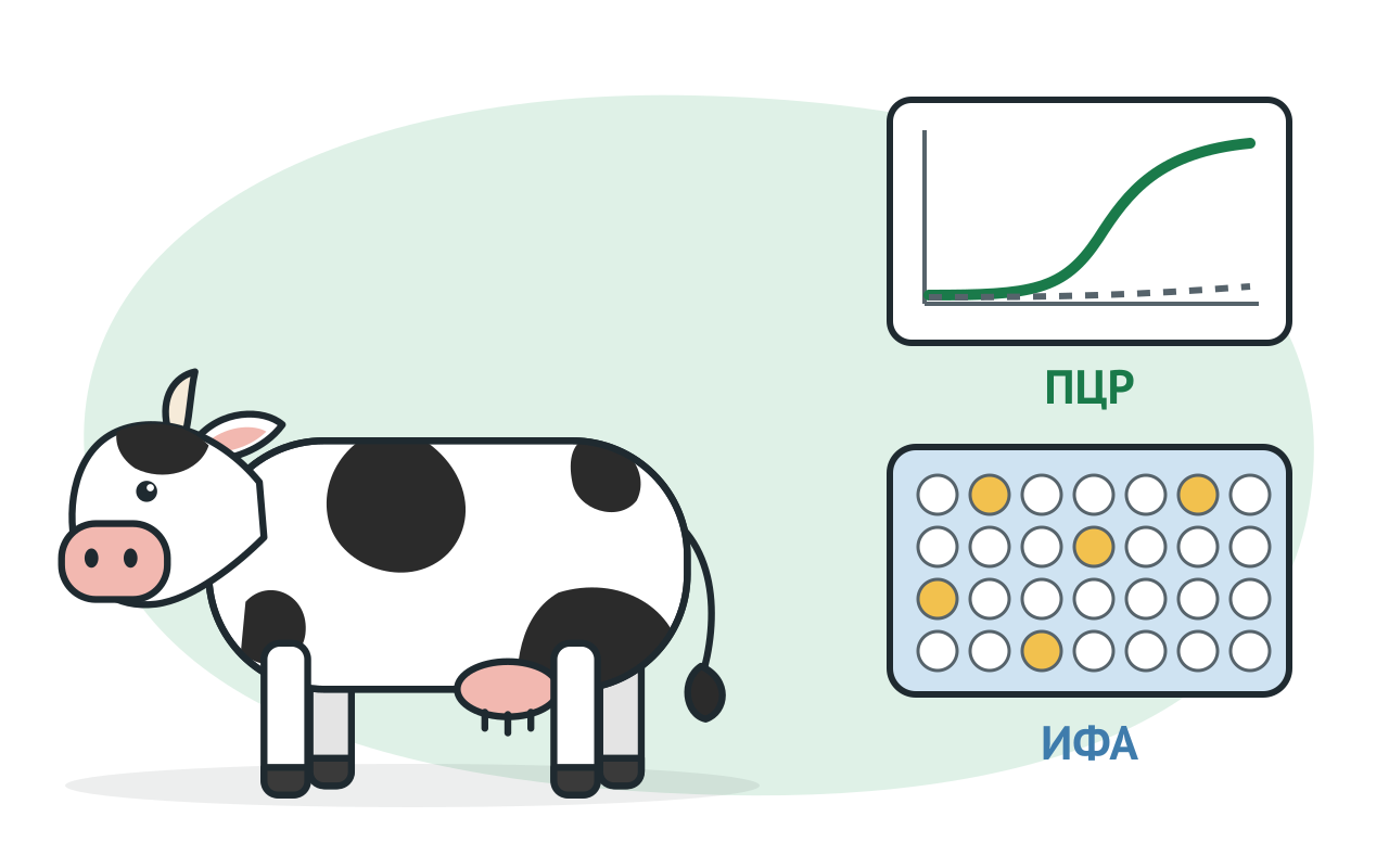 Методы лабораторной диагностики болезней животных: ПЦР, ИФА, РИД и экспресс-тесты
