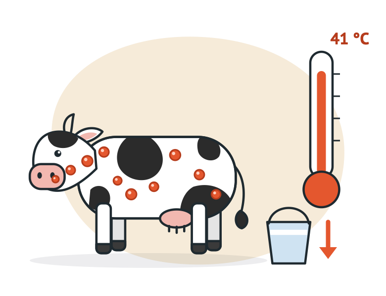 Signes de dermatose nodulaire contagieuse : nodules cutanés, température supérieure à 41 °C, baisse de la production laitière