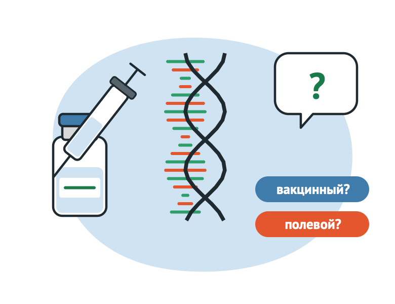 Положительная ПЦР у привитого животного: вакцинный или полевой вирус