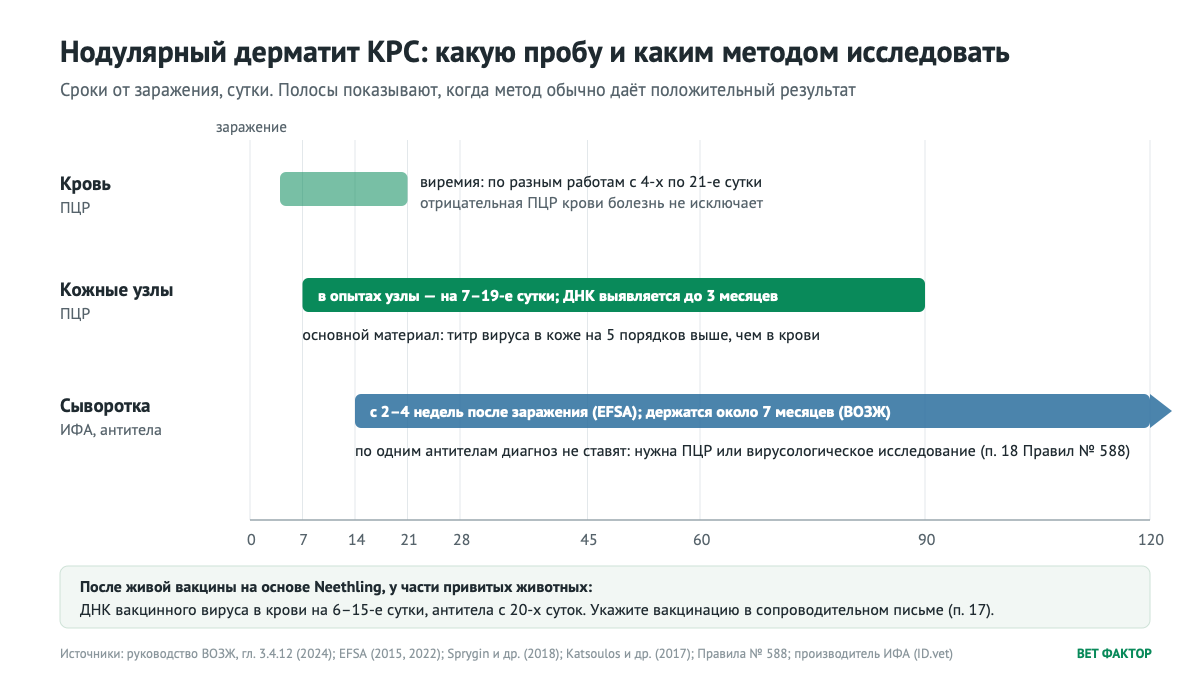 Когда кровь, кожные узлы и сыворотка дают положительный результат. Схема ВЕТ ФАКТОР по данным ВОЗЖ, EFSA и Правил № 588